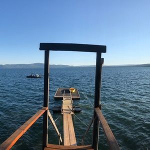 Meet your Posher, Lexi